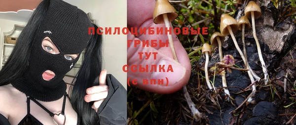 наркотики Белокуриха