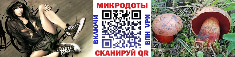 гидра   Острогожск  Псилоцибиновые грибы мицелий 