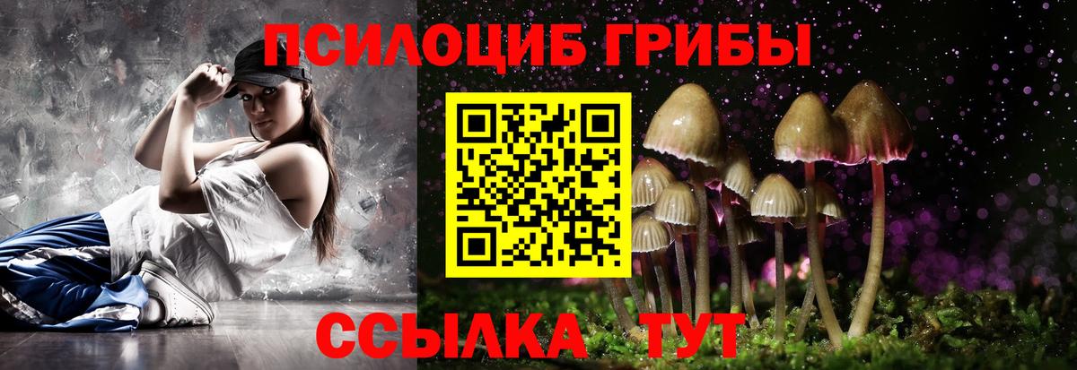 Псилоцибиновые грибы ЛСД Острогожск