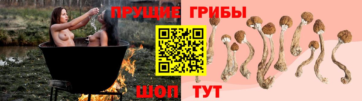 что такое наркотик  Вход с VPN  Острогожск  Псилоцибиновые грибы Cubensis 